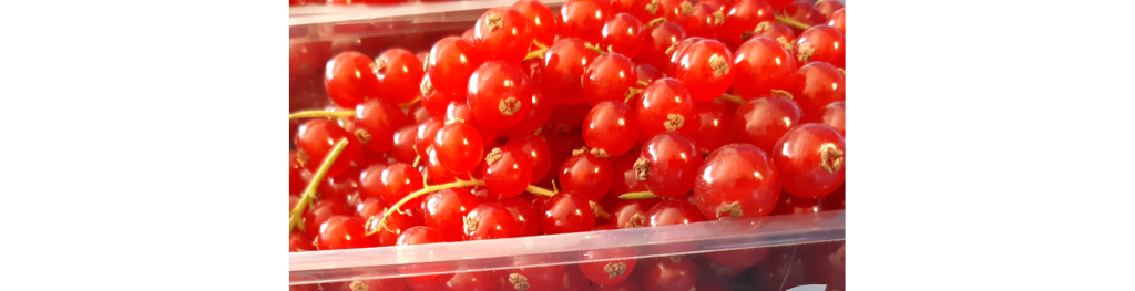 The many-sided role of carbon dioxide in postharvest practice